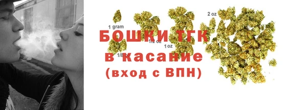 гидра Корсаков