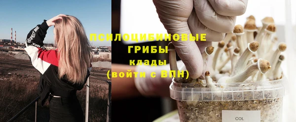 тгк Богданович