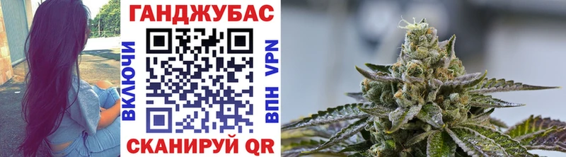 блэк спрут   Богданович  Шишки марихуана THC 21% 